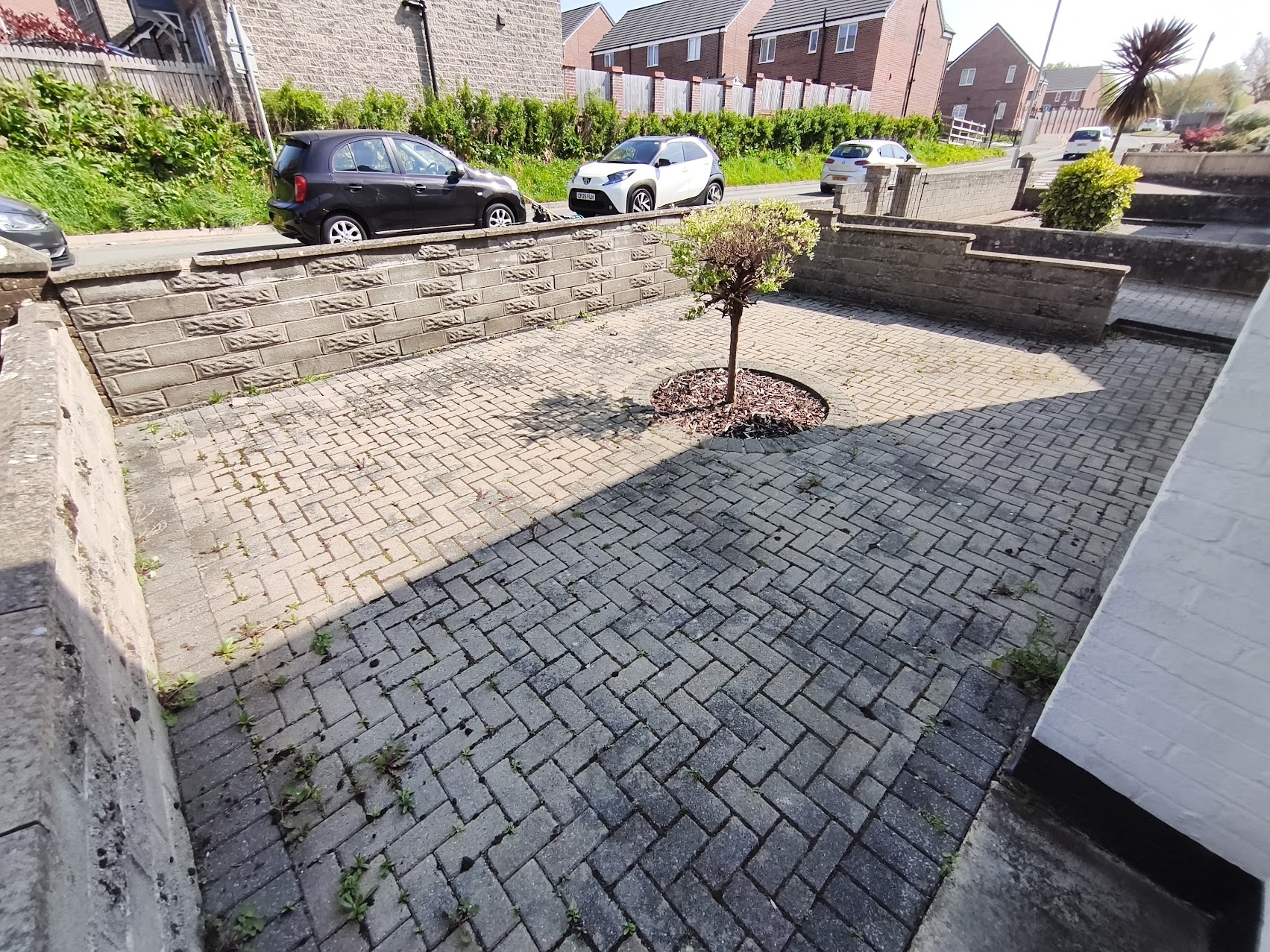 Before driveway cleaning: dark staining and surface buildup